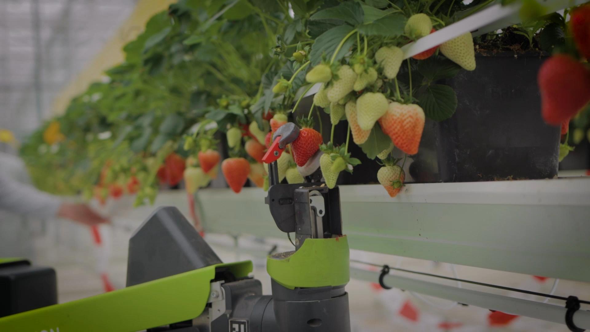 KPN: Educational Videos
